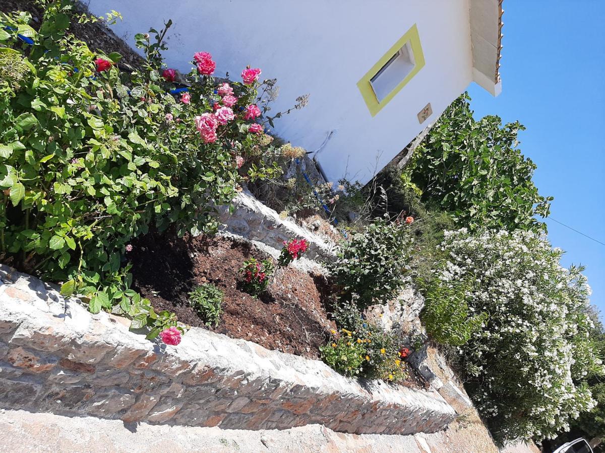 Lemon Garden 1 Villa Karidi Екстериор снимка